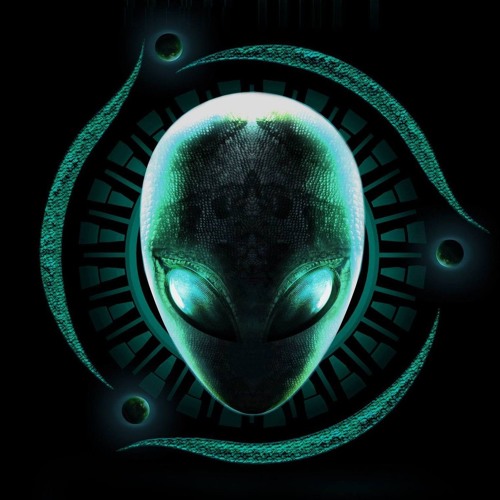 SCIONAUGH -  CONSTANTLY CURIOUS - SPINNIN' HEADS REMIX