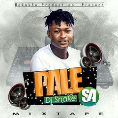 Dj snake Rakakòn [Mixtape Palesa 2019]