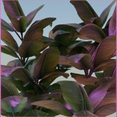 Ultimate Retro Vibes Bundle