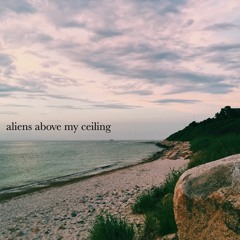 aliens above my ceiling