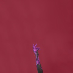 Body Language (Video Version)