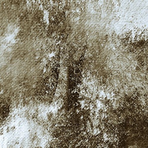 Wastland 002: Silent Chaos