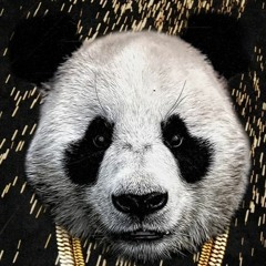 Panda Remix Ft Killaflowz