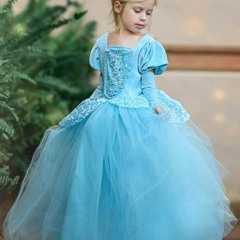Girls Fancy Deluxe Cinderella Inspired Ball Gown Dress Halloween Costume