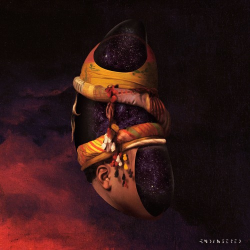 PREMIERE : Mirida - Under Hyponsis (Original Mix)[Endangered]