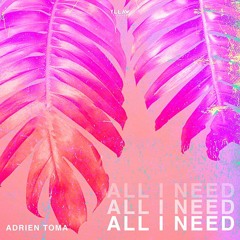 Adrien Toma - All I Need [YR032]