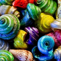 SHELL (acoustic piano)