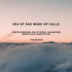 Sea of Sad Wake Up Calls - Manila Killa x Porter Robinson [TCK Mashup]