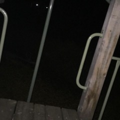 just going for a walk with a friend