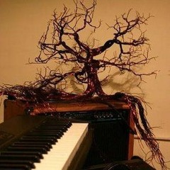 Catch The Wind.. improv.