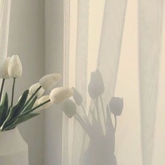찬송가 편곡 / 나의 사랑하는 책 There is a Dear And Precious Book