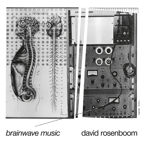 BT048 - David Rosenboom - Brainwave Music [Chilean Drought]