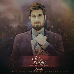 Hamed Zamani - Zaboone Madari | حامد زمانی - زبون مادری