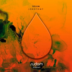 Delum - Lobotomy (Original Mix) [Sudam Recordings]