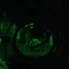 Gestalt Machine (Field Recording)