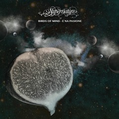 Birds Of Mind - E’na Pasione [clip]