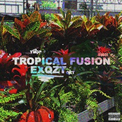 Tropical Fusion