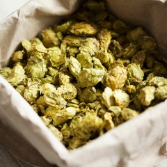 Oispaolutmestari Humala.WAV