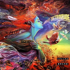 Goin' In - Vino World