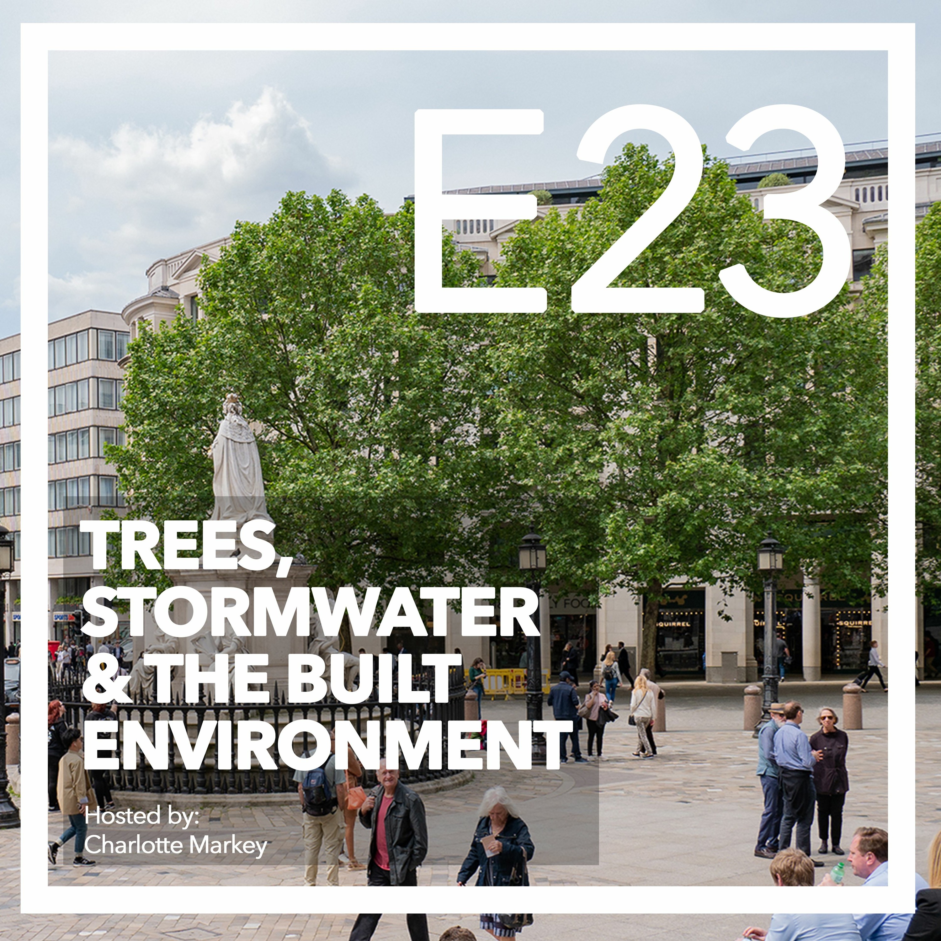 Trees-Stormwater