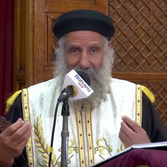 عظة نهضة مارجرجس 2017/11/14 | من يمدحه الرب | القمص لوقا سيداروس