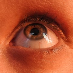 𝔞𝔪𝔲𝔰𝔢𝔡