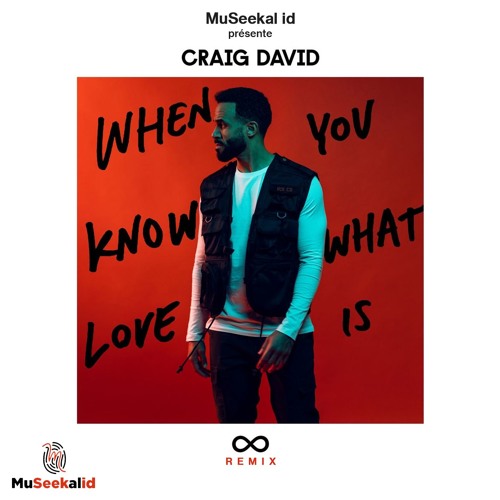Craig David - When you kwow what love is - by Museekal ID -
