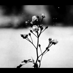 Paul de Senneville - Mariage d’amour [Emmanuel Parmentier]