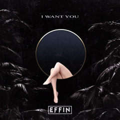 Chris Lake - I Want You (Effin Flip)