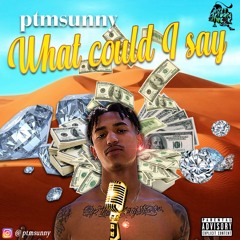 ptmsunny - What could I say