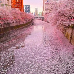 Lo-fi Anime Beat (wip)