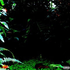 Nights in the Jungle - Moon God