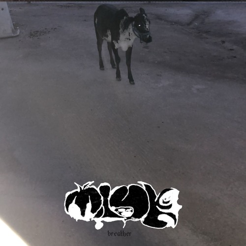 ცՐ𝖊ค𝖙𝖍૯𝖗