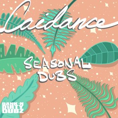 DANK044 - Caidance - Summer Months Dub (Pushloop Remix) [OUT NOW!]