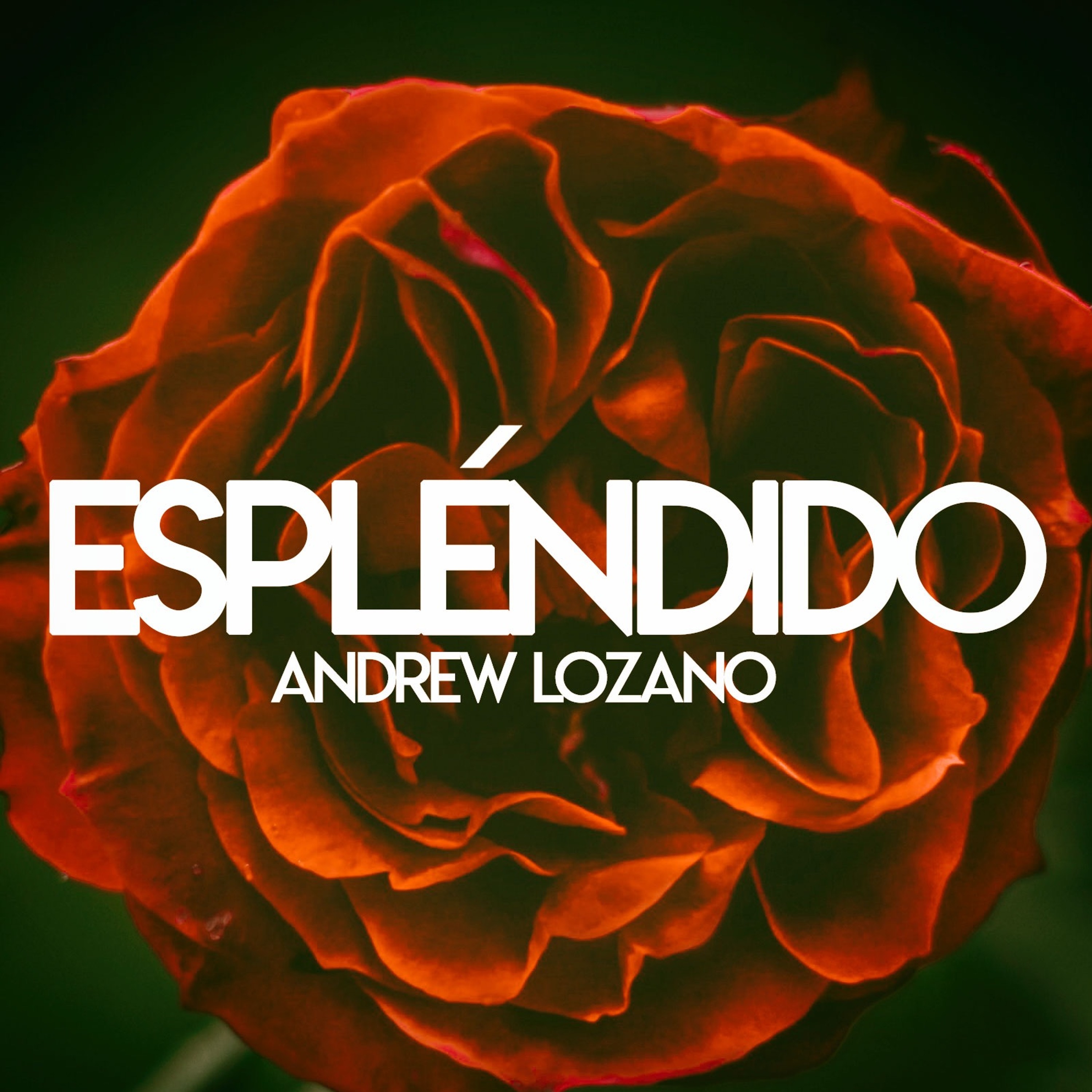Andrew Lozano