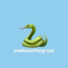 snakesinthegrass (feat. Georgeraps, NOC)