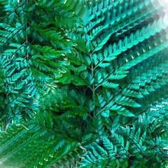 phony coward part two// cloud surrender