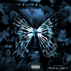 13. BUTTERFLIES