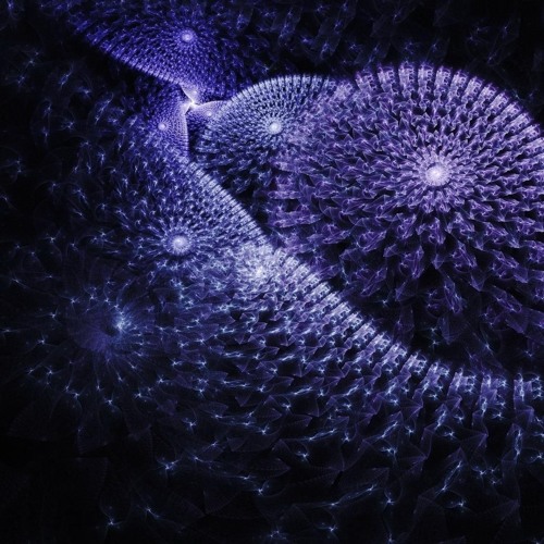 Fractal Groove