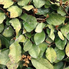 fffjfffuffufuuucckkkckckkkckckkkk