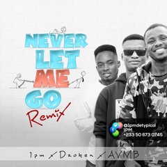 Never let me go remix