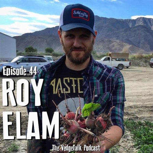 Stream 44 - Making Great Food From The Best Ingredients with Donna Jean  Head Chef Roy Elam by The VedgeTalk Podcast | Listen online for free on  SoundCloud