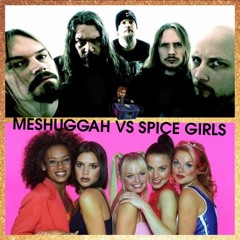 Struth Remix - Meshuggah vs Spice Girls