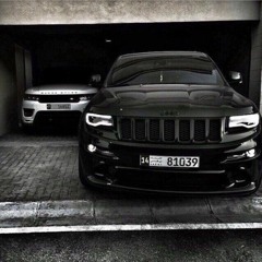 Гиббон Аи - 2 & ARMEDOS - Тянусь За Мечтой (2019)