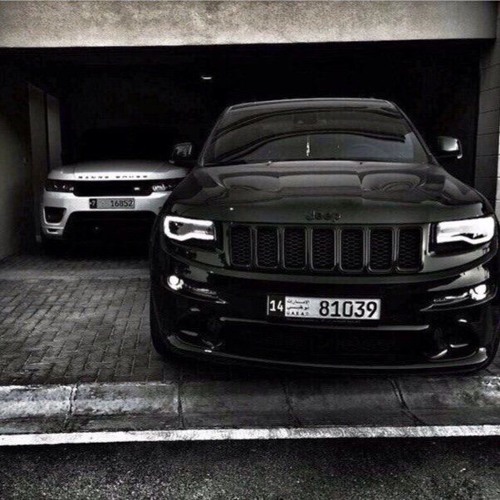 Гиббон Аи - 2 & ARMEDOS - Тянусь За Мечтой (2019)