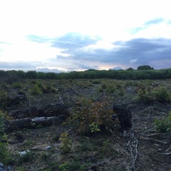 Hallelujah - Jake Elliott (acoustic cover)