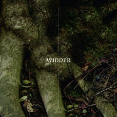 WIDDER LP (Side A) vinyl rip