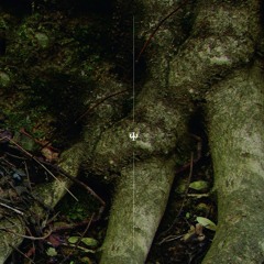 WIDDER LP (Side B) vinyl rip