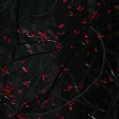 **july 2k19 samples**