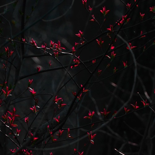 **july 2k19 samples**